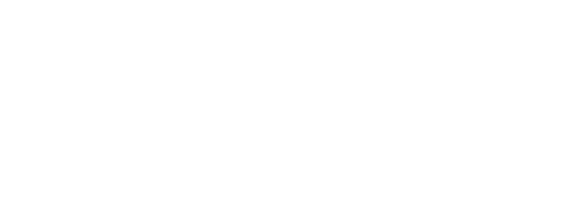 logo_sistemi_dinamici_solo_bianco