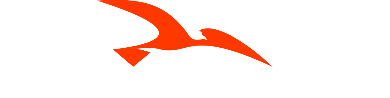 logo_sistemi_dinamici_intro